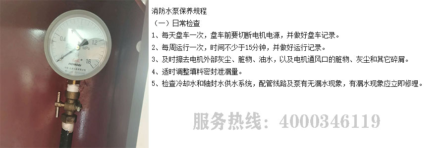 油条视频appios苹果安卓下载维保